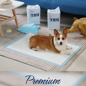 Puppy Training Pads – Pack of 10 60×90