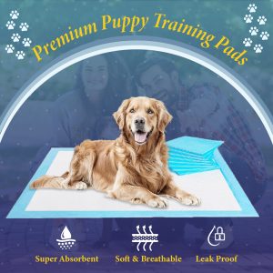 Puppy Training Pads – Pack of 10 60×60