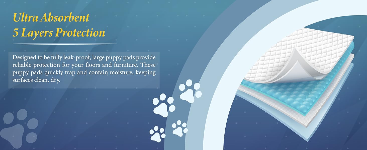 c374262b-4b8f-4d47-93f0-89a0bfa25381.__CR0,0,3050,1250_PT0_SX1464_V1___