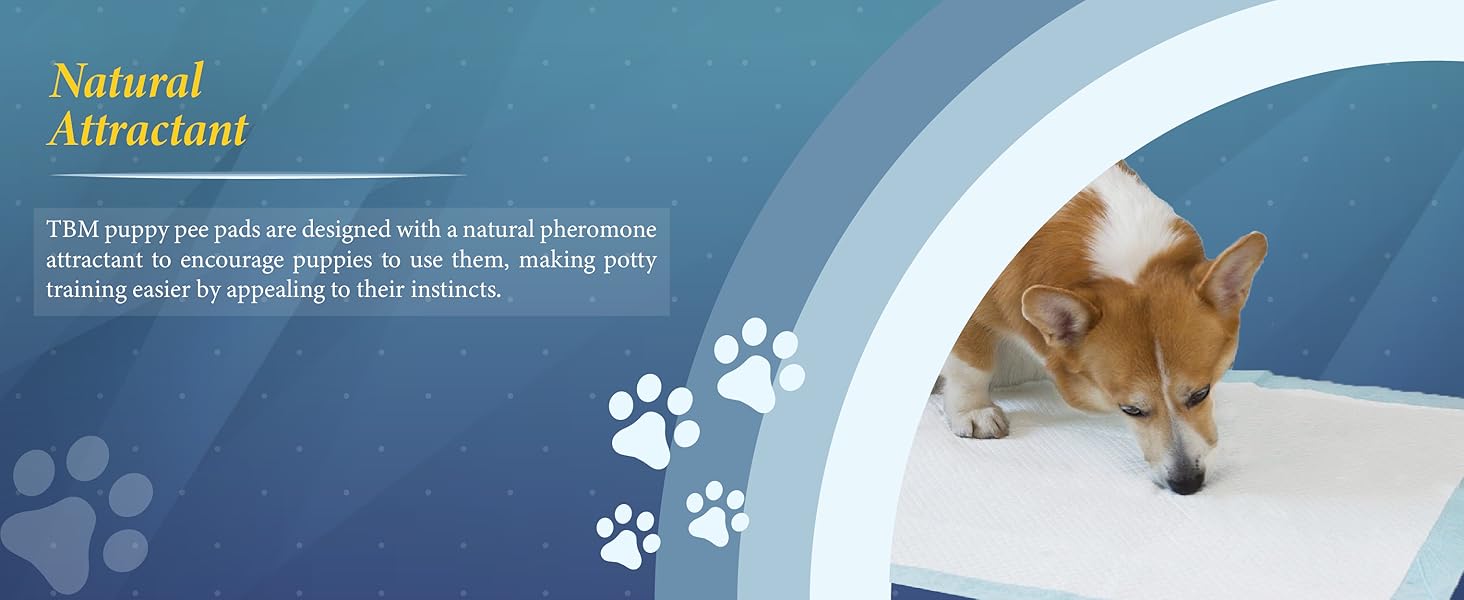 c6cc78f1-6c1c-4b7a-9dbe-86cea14a08d1.__CR0,0,3050,1250_PT0_SX1464_V1___