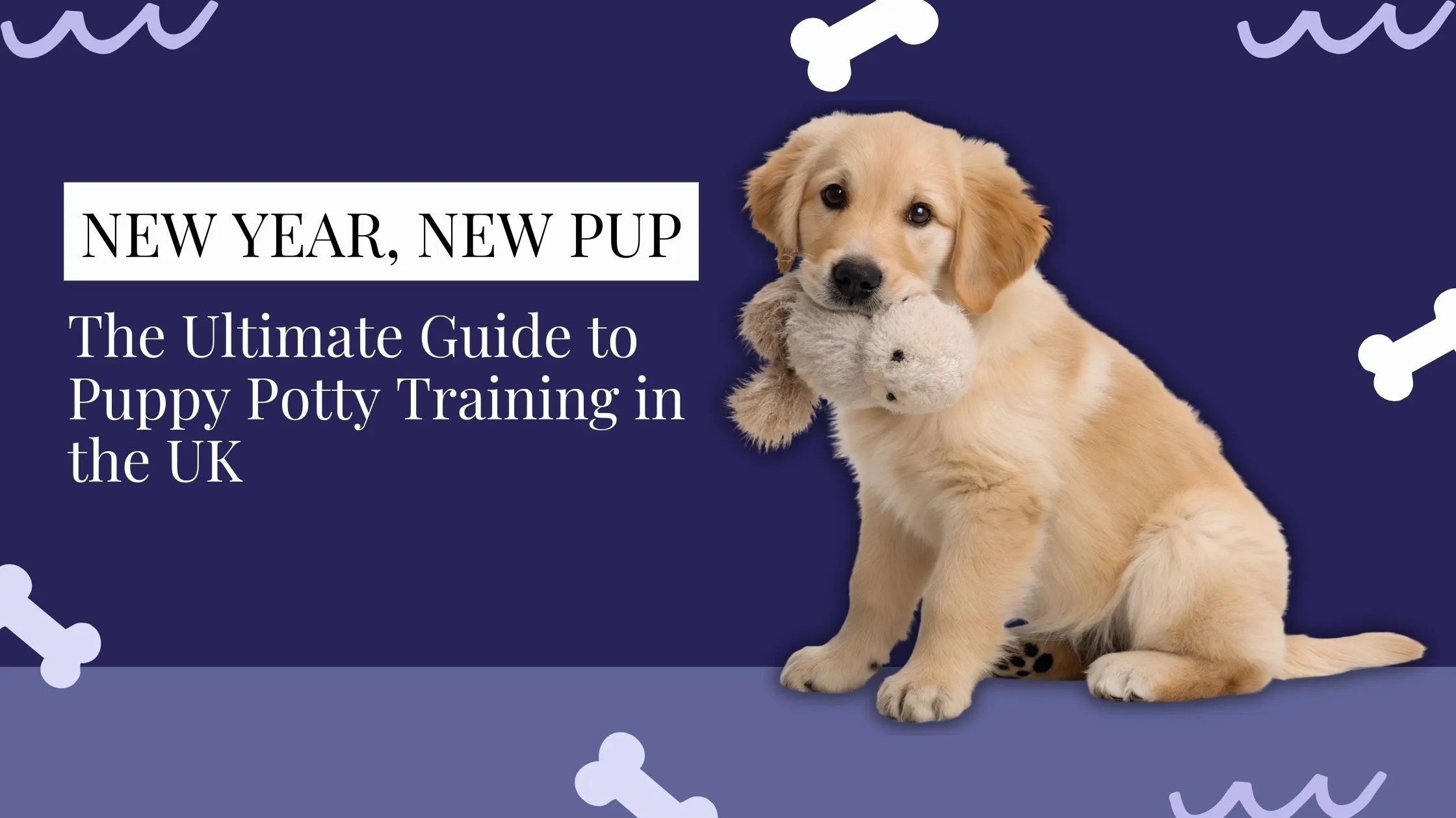 You are currently viewing Puppy Pootty Training: The #1 Ultimate Guide for 2026
