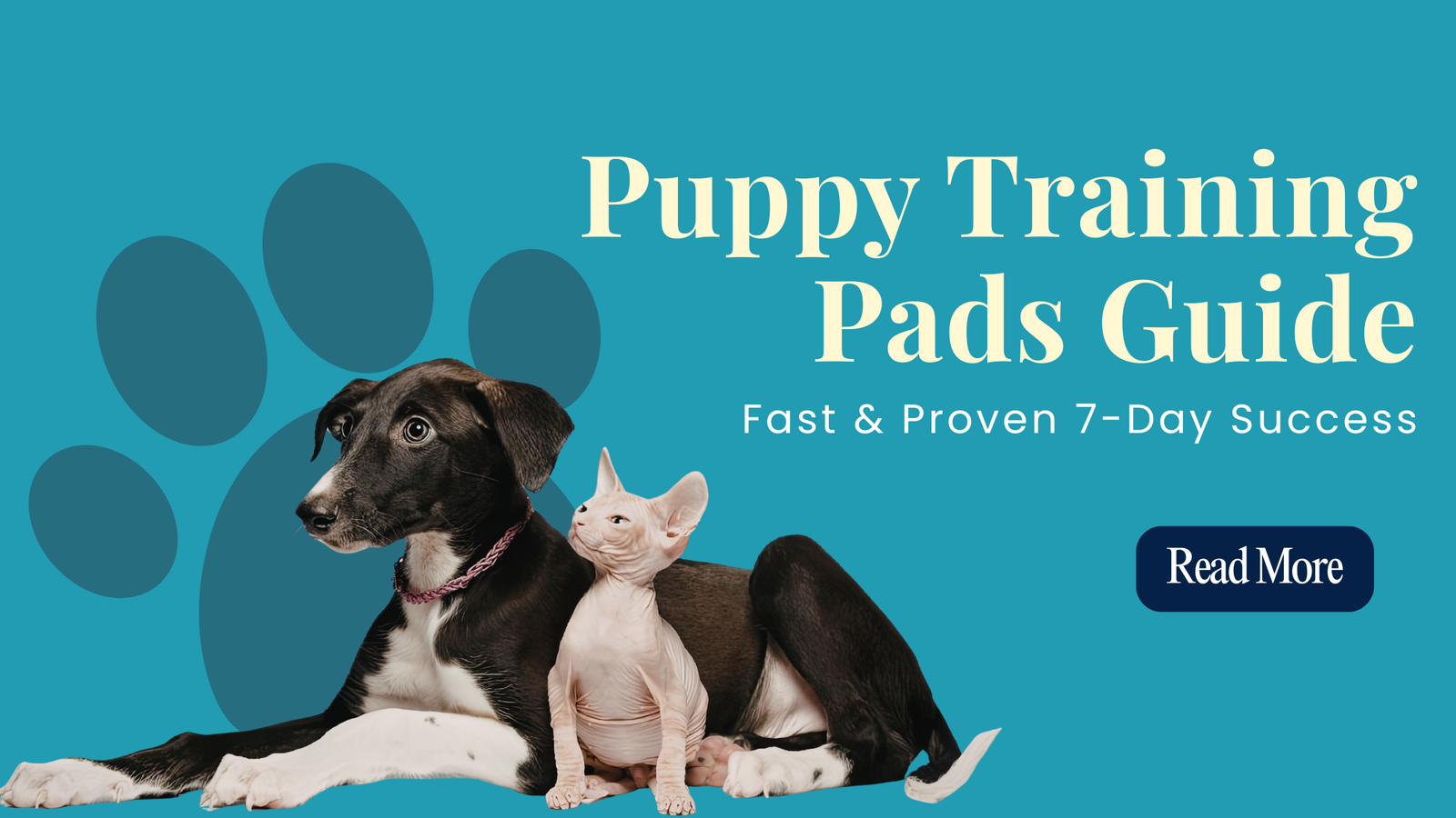 You are currently viewing Puppy Training Pads Guide: Fast & Proven 7-Day Success